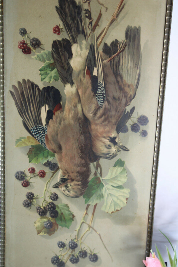 pair antique 19thc wall framed chromo hunting trophy pheasant bird panels