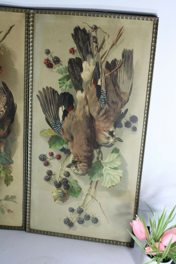 pair antique 19thc wall framed chromo hunting trophy pheasant bird panels
