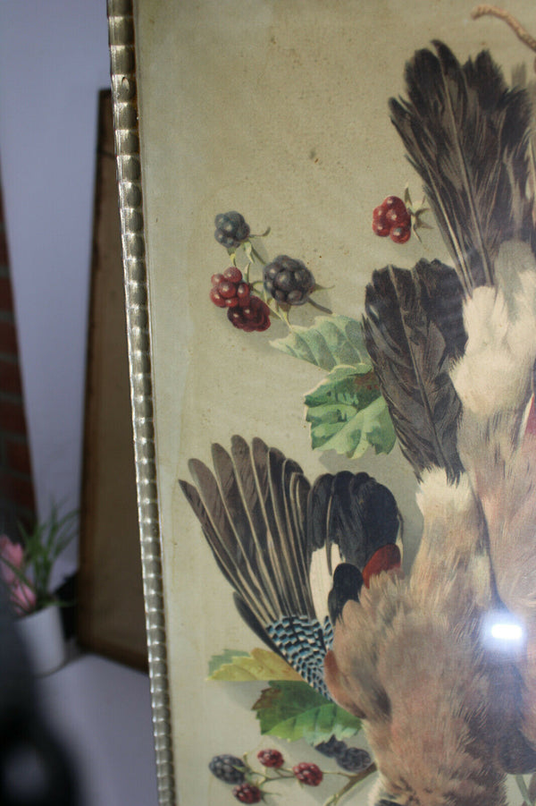 pair antique 19thc wall framed chromo hunting trophy pheasant bird panels