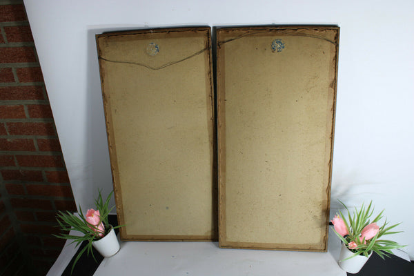 pair antique 19thc wall framed chromo hunting trophy pheasant bird panels