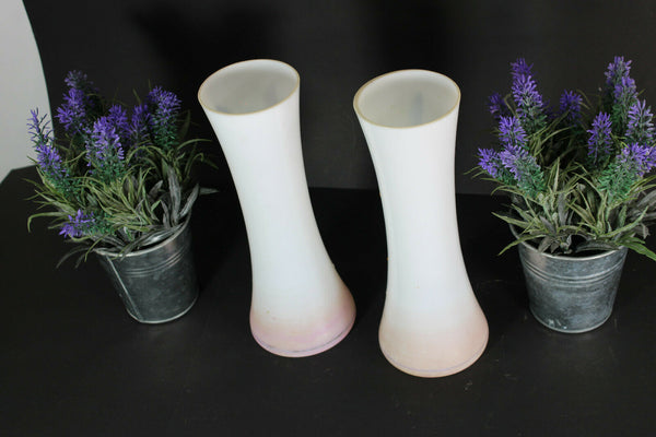 PAIR antique Glass opaline enamel floral romantic decor vases