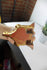 products/62b44ef40abaac50b915889c.png
