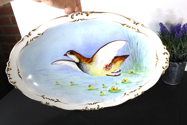 XL Antique LIMOGES marked porcelain hand paint bird tray plate