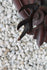 products/62e297c32cfb877b23acfdc9.png