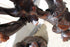 products/62ea1e1daf2e198270029fa9.png
