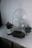 products/6301f0062ce6775841c4e22d.png