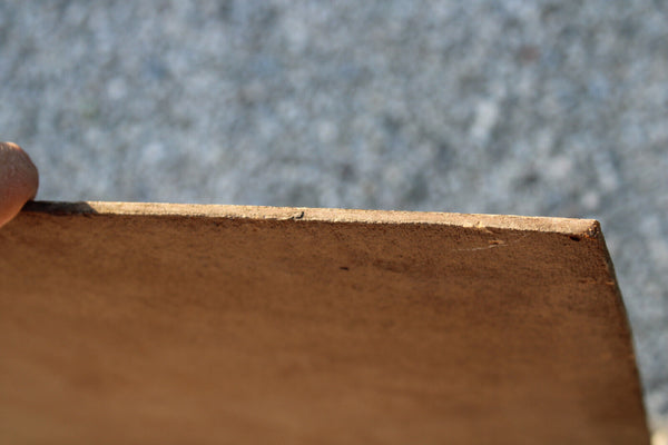 Antique Flanders school oil panel painting bishop playing puppy religious rare