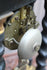 products/6386feeb2724df59ee2a66f1.png