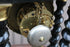 products/6386ff012724dfd4d42a6817.png