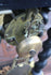 products/63b54168a279a2f8f1c0653e.png