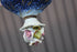 products/63c1171164f062d932e2bfe4.png
