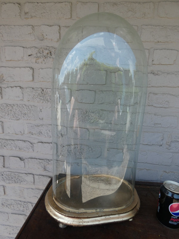 Antique french oval large glass dome globe for taxidermy Clock statue