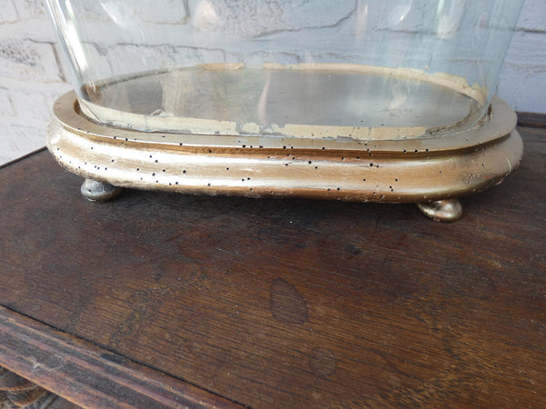 Antique french oval large glass dome globe for taxidermy Clock statue
