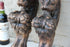 products/64bb9ca7da09d009f490a4a2.png