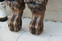 products/64bb9ca8da09d0114790a4a8.png