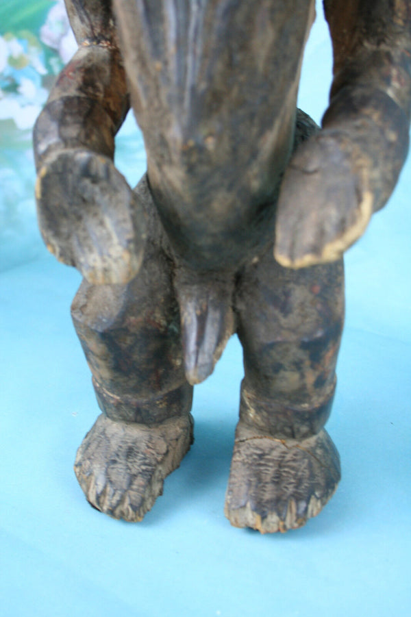 Unusual ancestor AFRICAN Nigeria