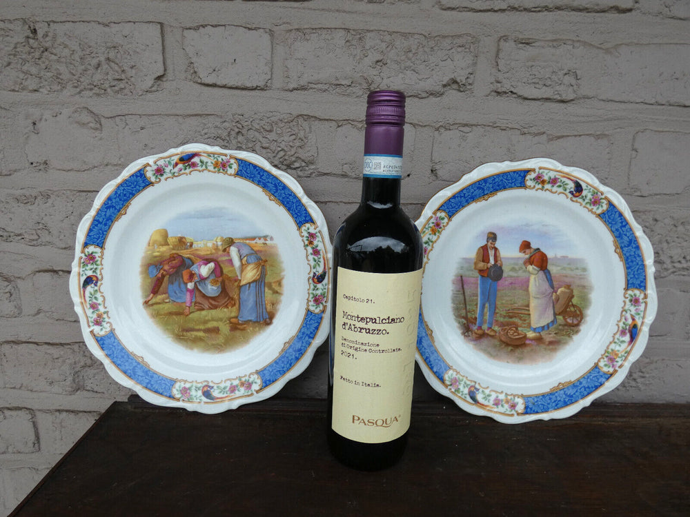 pair vintage german schumann bavaria porcelain marked angelus plates birds