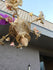 products/65c1d8f60eb5a11843eb8248.png