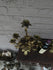 products/65e838eac7e8cee79da92f1c.png