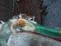 products/65ef0aeb7ef956c54588bd60.png