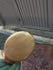 files/660a938f9faf1fc8f6faa946.png