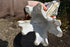 files/6826ca46316a4d63ffb32473.png
