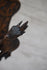 files/6835a152316a4d63ff8f81e5.png