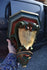files/6835a153316a4d63ff8f821f.png