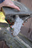 files/6835a159316a4d63ff8f82ac.png