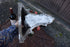 files/6835a16b316a4d63ff8f8447.png