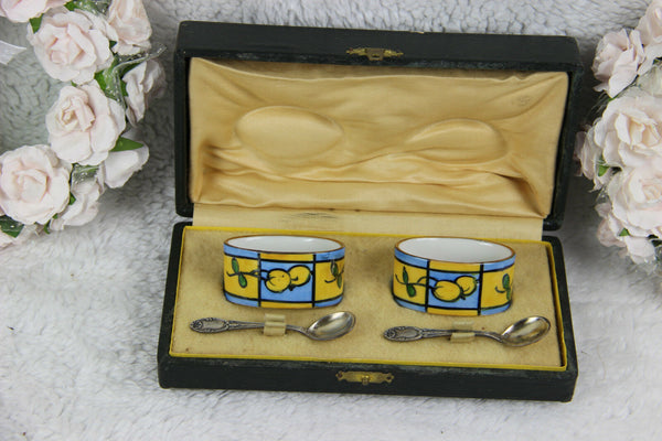 Antique French Limoges marked salt pepper pots porcelain spoon in box