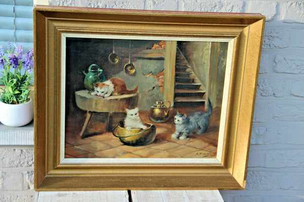 Flemish school oil canvas kittens cats animal painting signed Merson 1950s n1