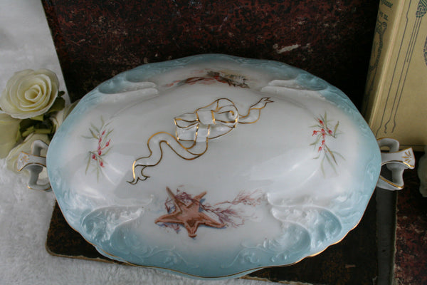 Antique 1900 CT tielsch Porcelain marked bowl shell fish  hand paint