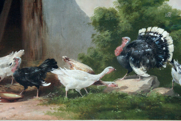 Listed SCHOUTEN (Belgian, 1860-1922) oil canvas painting Belgian chicken