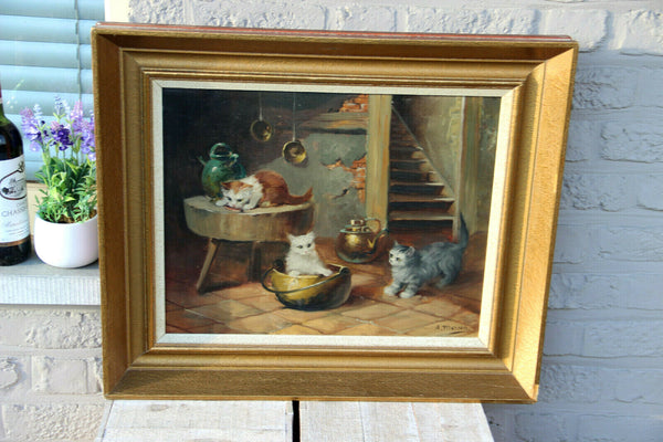 Flemish school oil canvas kittens cats animal painting signed Merson 1950s n1