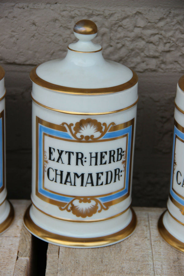 Antique VIEUX BRUSSELS porcelain Set 7 pharmacy pots Latin texts