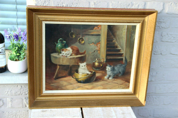 Flemish school oil canvas kittens cats animal painting signed Merson 1950s n1