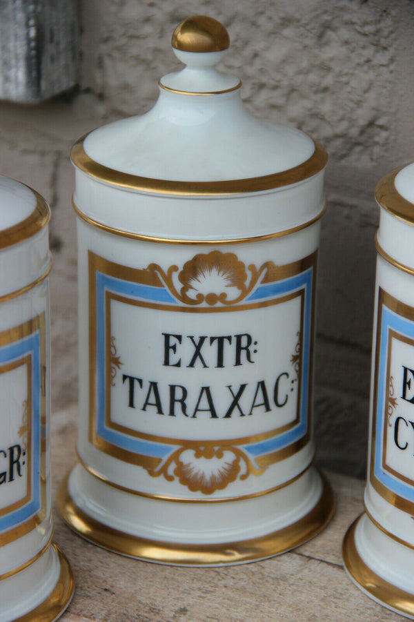 Antique VIEUX BRUSSELS porcelain Set 7 pharmacy pots Latin texts