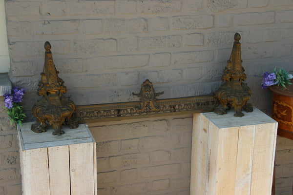 French antique bronze Fireplace andirons Set Lions gothic castle theme 19th c