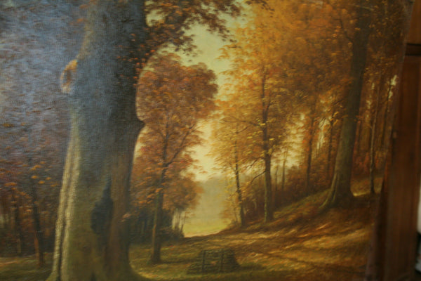 Oil on Canvas Flemish Dutch AUTUMN forest woods   1960's   31.5x23.6