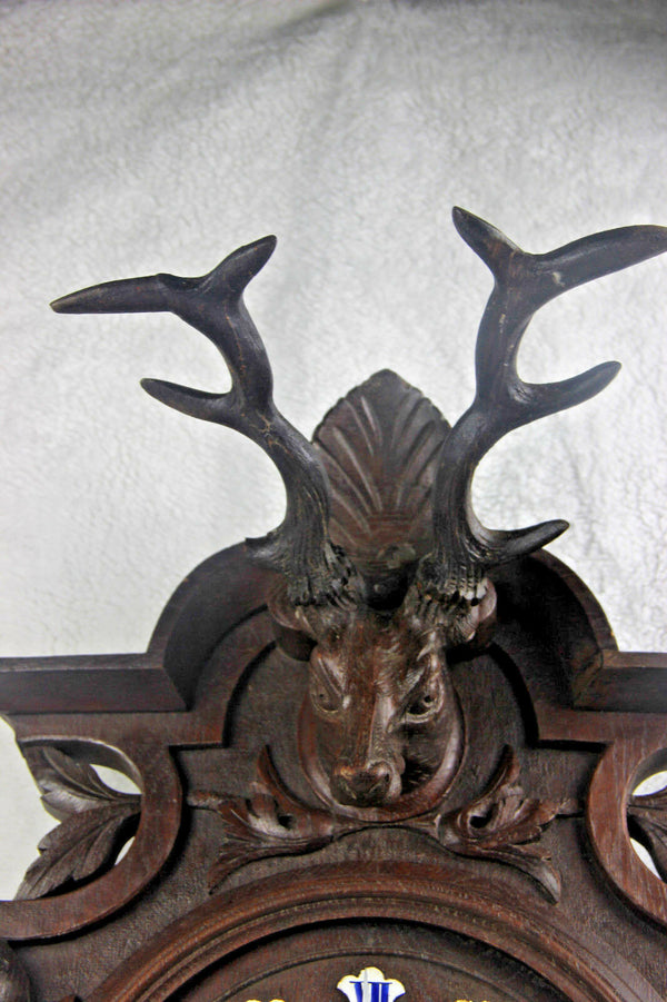 Huge German Black forest oak wood carved hunting trophy Deer dog head 1920s
