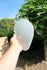 5 Antique ART DECO Frosted glass replacement shell shades