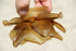 products/57_60416a86-e54c-409e-94b6-85156d4b318a.jpg