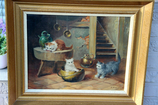 Flemish school oil canvas kittens cats animal painting signed Merson 1950s n1