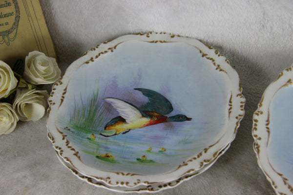 Set 12 French limoges marked porcelain bird pheasant dinner plate signed