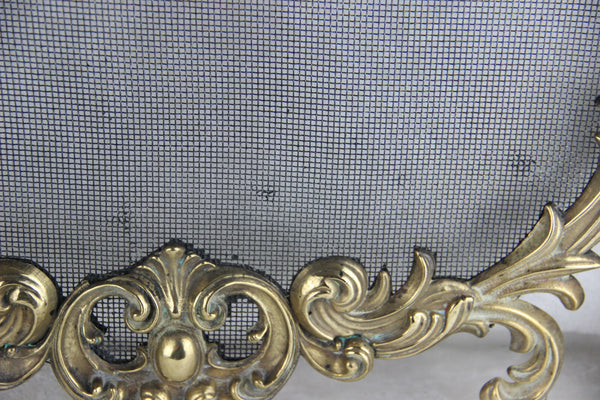 Gorgeous Gothic Dragon griffin castle French 1960 Fireplace screen brass