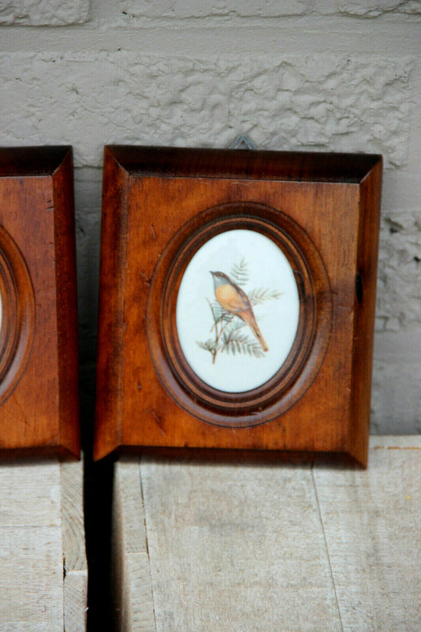 PAIR vintage French limoges porcelain medaillon plaques birds framed