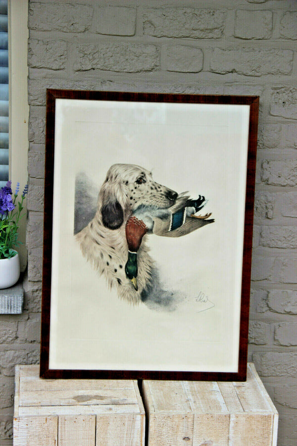 Boris RIAB engraving hand coloured english hunting dog duck signed