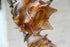 products/57_bc98f97a-d00e-456a-92c8-26456a694200.jpg