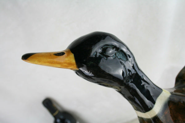 Antique XL French BARBOTINE faience Planter jardiniere wall duck form